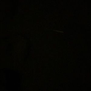 Meet your Posher, Evelyn